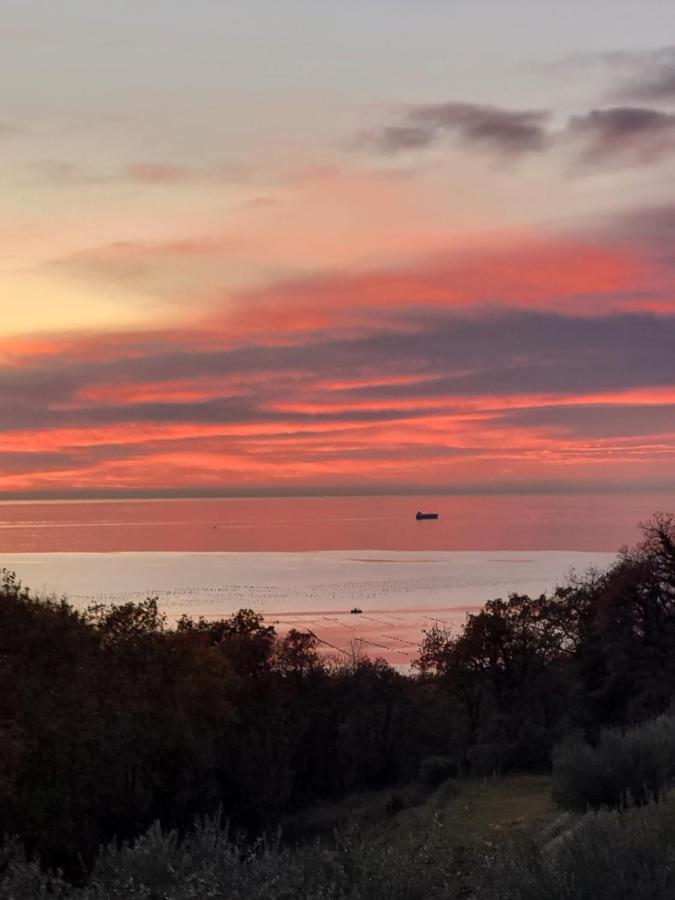 Piccola California Bed & Breakfast Muggia Luaran gambar