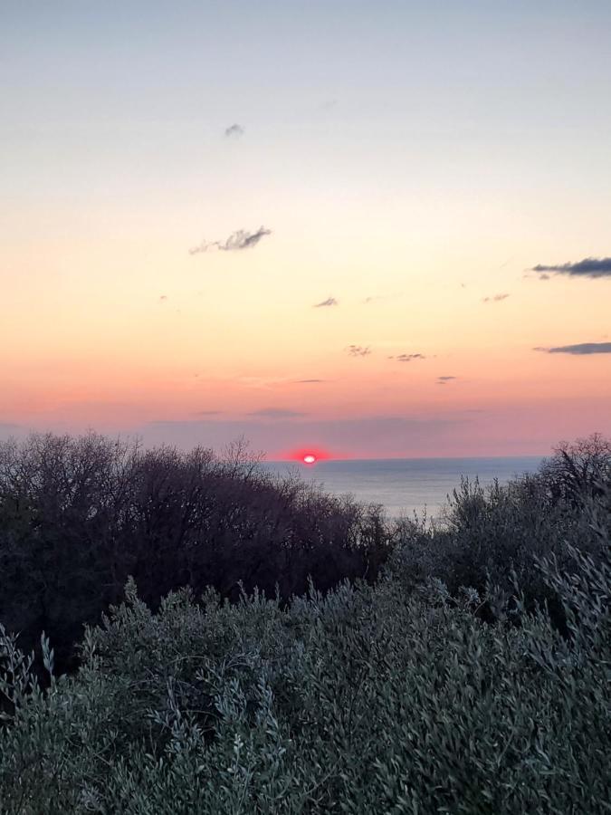 Piccola California Bed & Breakfast Muggia Luaran gambar