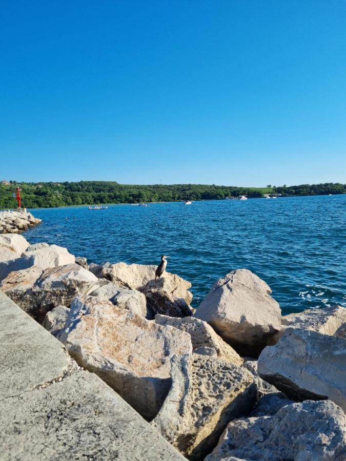 Piccola California Bed & Breakfast Muggia Luaran gambar